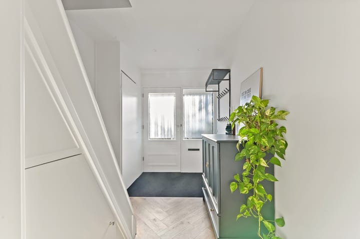 Foto 7 van Plantage 27