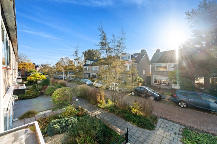 Foto 24 van Plantage 27