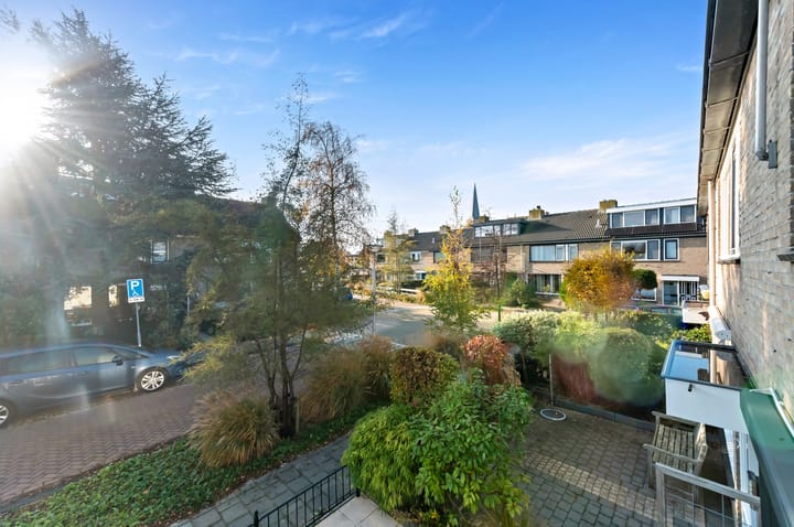 Foto 25 van Plantage 27