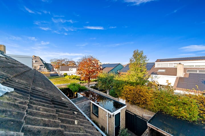 Foto 40 van Plantage 27