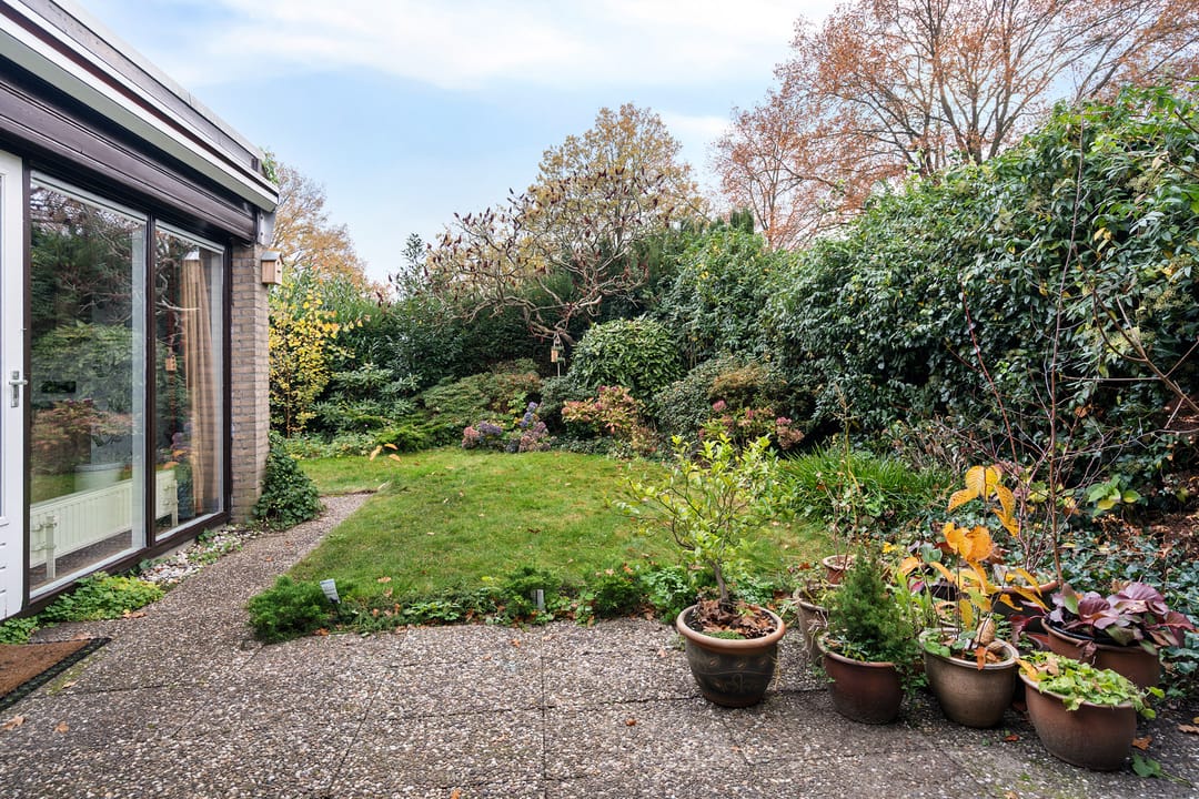 Foto 37 van Lienackers 46