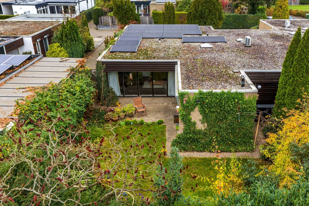 Foto 41 van Lienackers 46