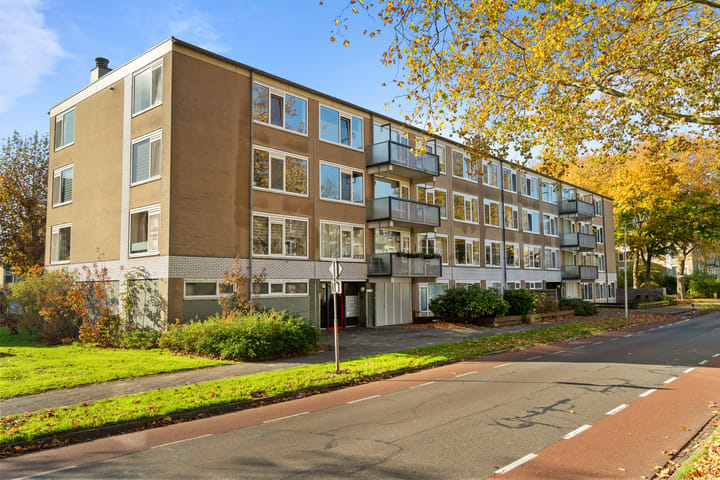 Televisiebaan 96 main image