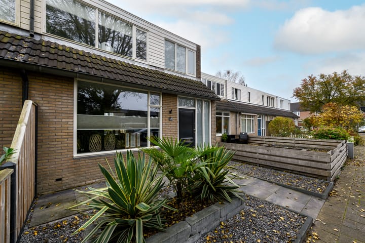 Foto 42 van De Orion 11