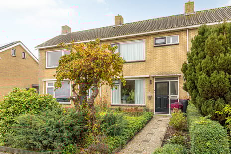 undefined main image