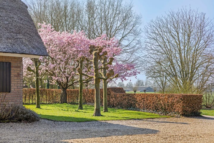 Foto 48 van Voorsterweg 155