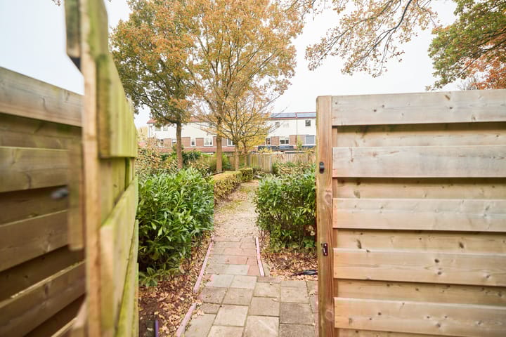 Photo 42 of Bazuin 6