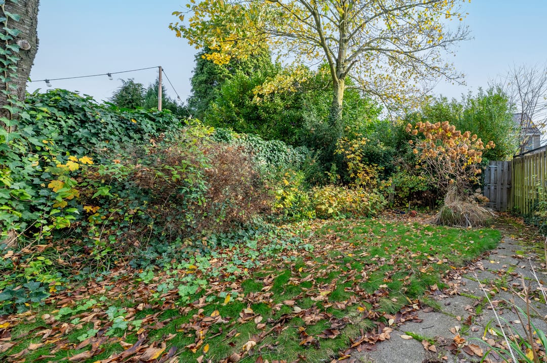 Foto 28 van Parelhoenstraat 19