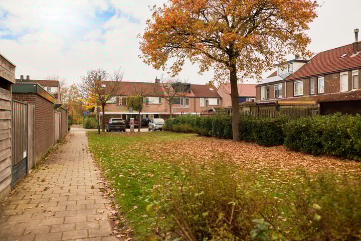 Photo 47 of Bazuin 6