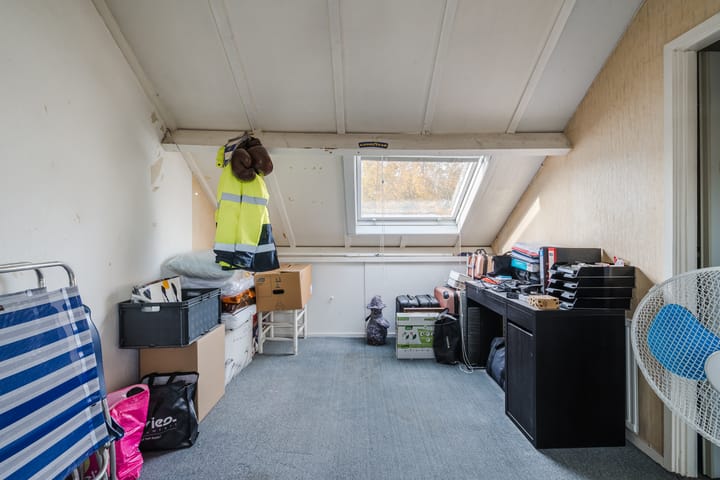 Foto 29 van Meerkoet 58