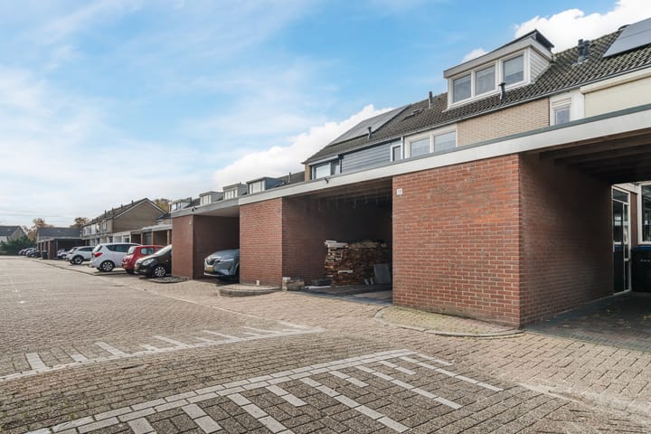 Foto 36 van Meerkoet 58