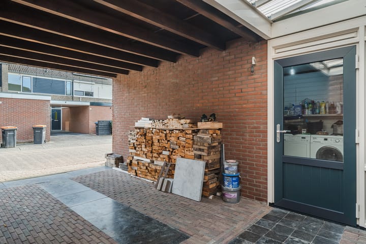 Foto 38 van Meerkoet 58