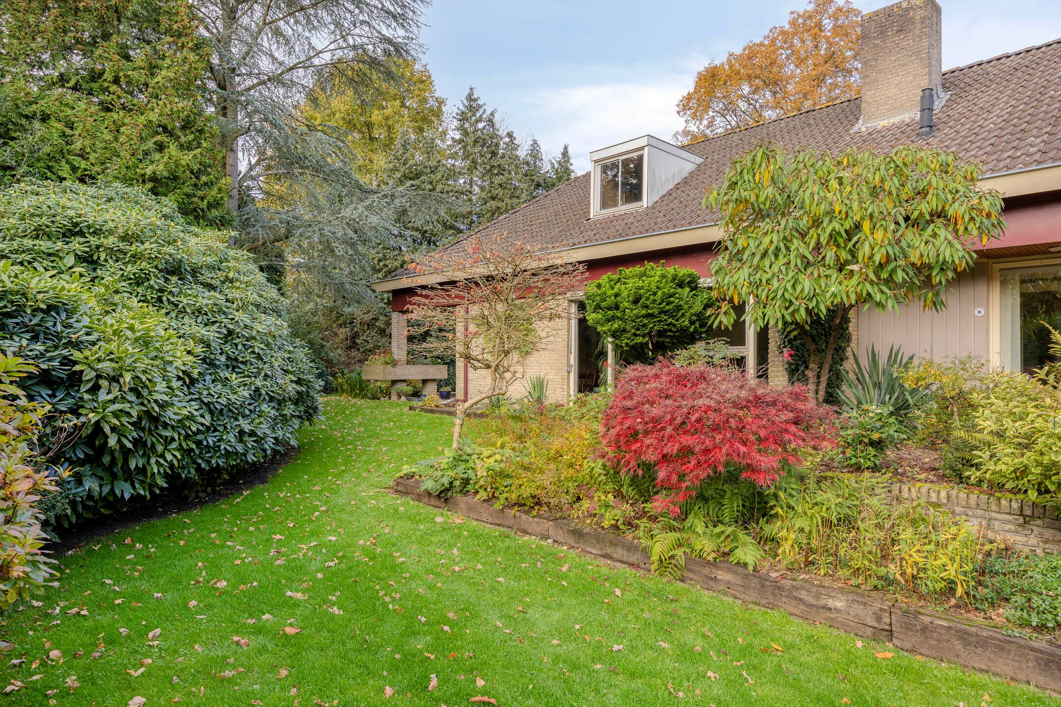 Foto 3 van Van Blankenheimlaan 8