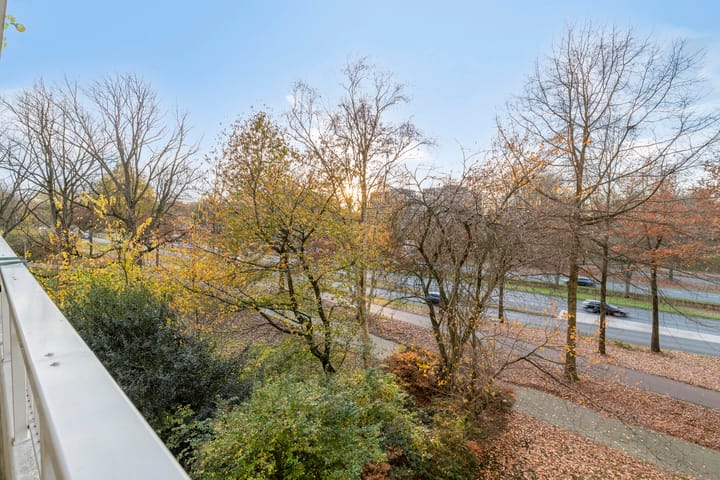 Foto 29 van de Koppele 53