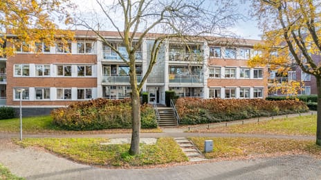 Koolzaadhof 4 secondary image