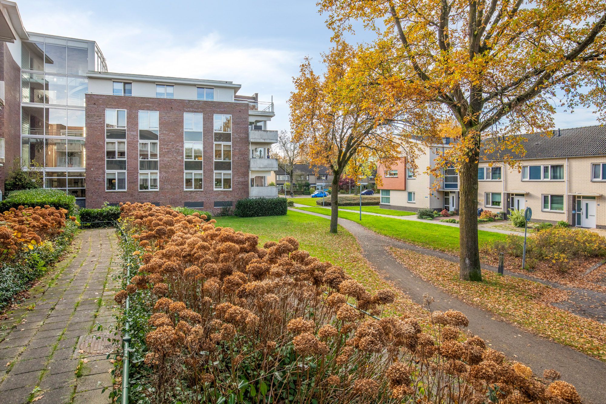 Foto 12 van Koolzaadhof 4