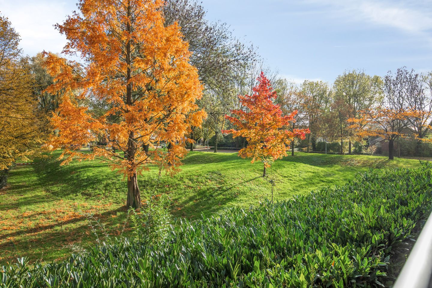 Foto 14 van Koolzaadhof 4