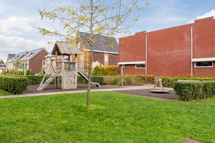 Foto 31 van Sleutelbloem 85