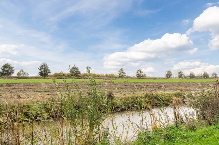 Foto 32 van Sleutelbloem 85