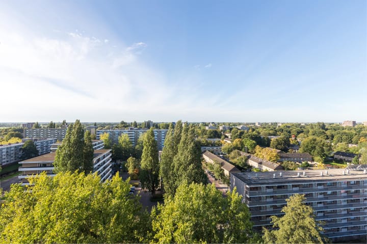 Photo 30 of Groenhof 366