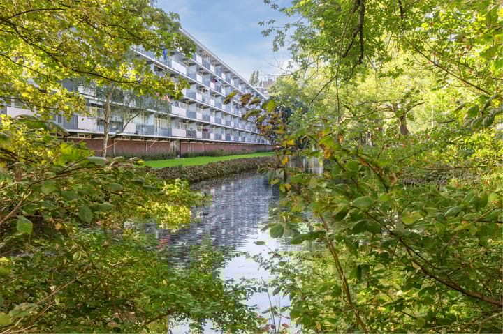 Photo 42 of Groenhof 366