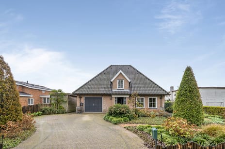 undefined main image