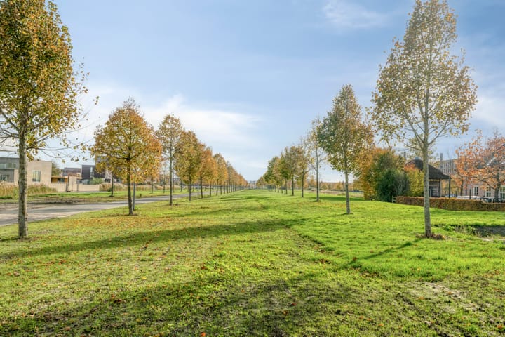 Photo 30 of Artemissingel 239