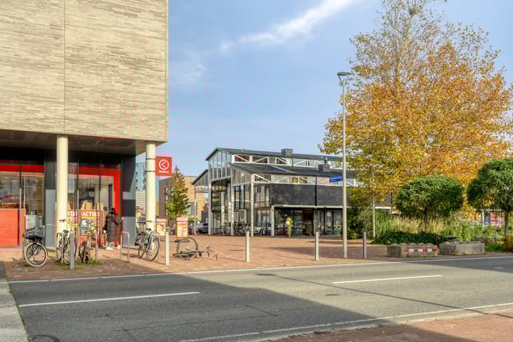 Photo 33 of Artemissingel 239