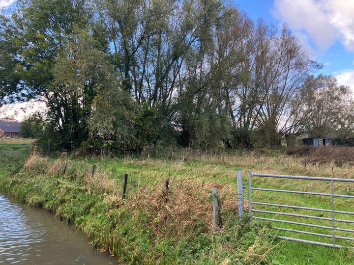 Foto 4 van Spijkerstraat