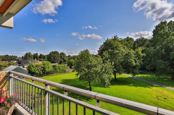 Johan Willem Frisolaan 34 main image