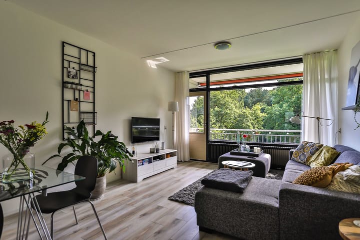 Foto 12 van Johan Willem Frisolaan 34