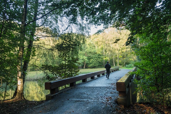 Foto 36 van Koningswaard 155