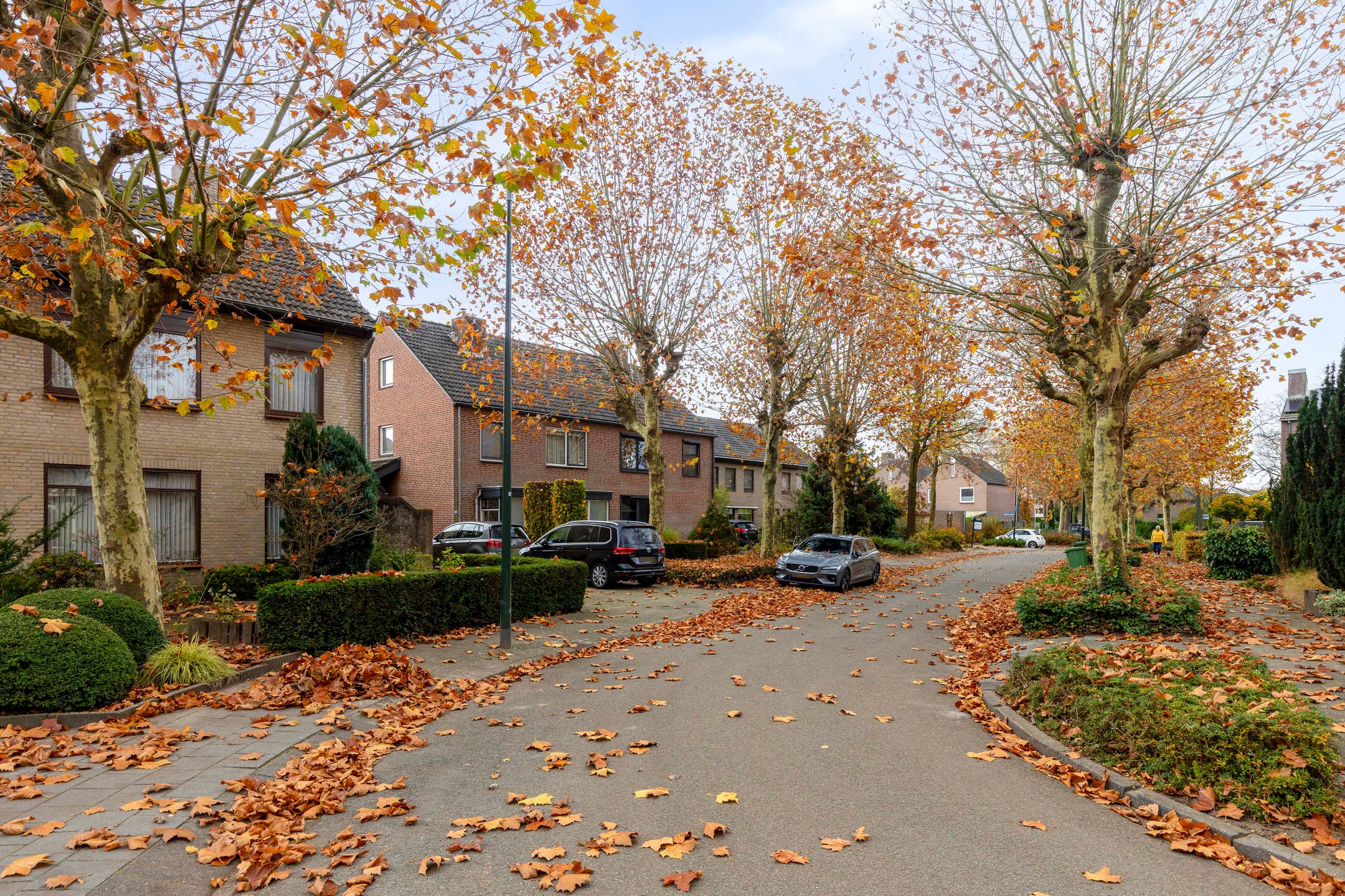 Photo 33 of Zwaluwendonk 14