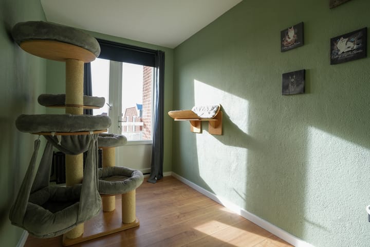 Foto 17 van Jongmansweg 36