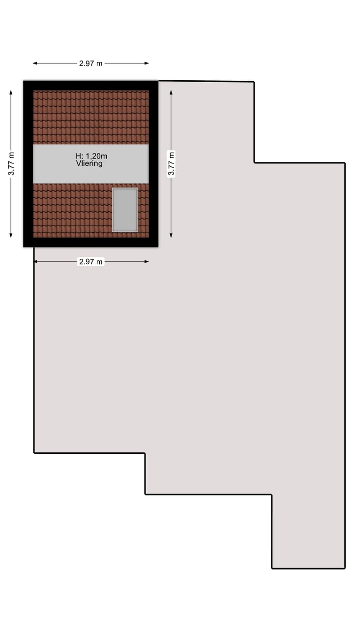 Photo 30 of Wasbeer 1