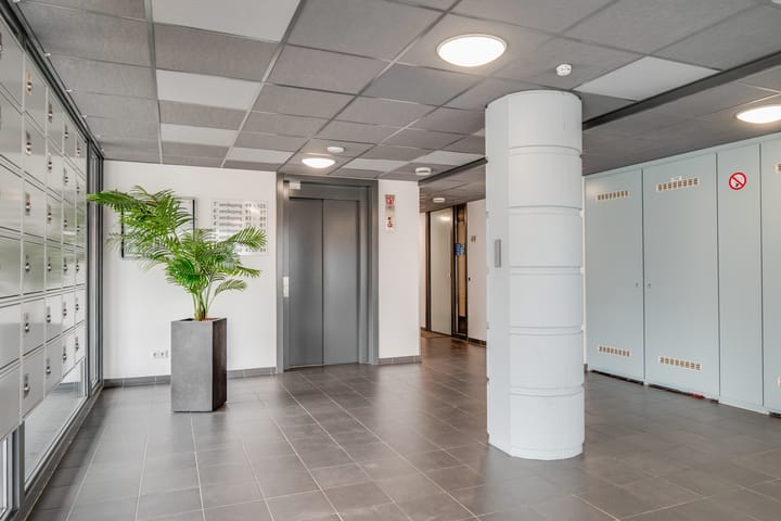 Photo 41 of Koegelwieckplantsoen 89