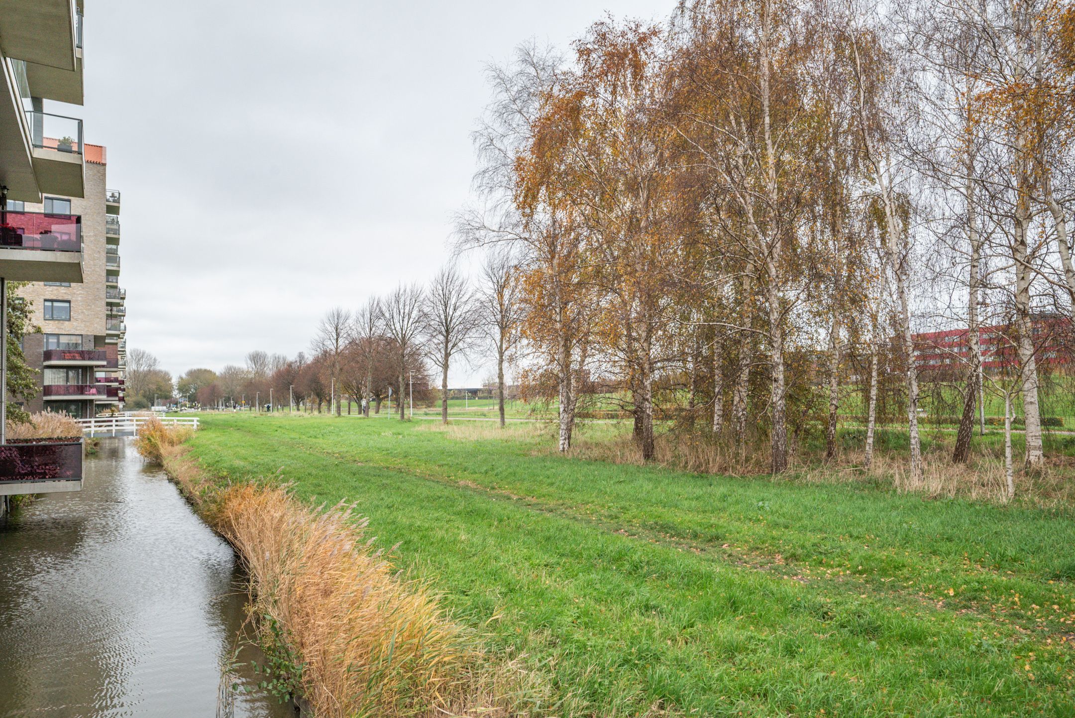 Foto 45 van Koegelwieckplantsoen 89