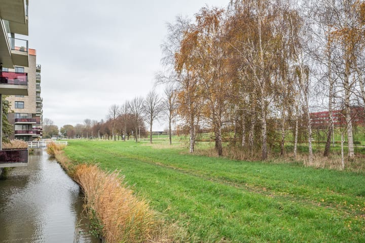 Photo 45 of Koegelwieckplantsoen 89