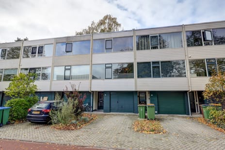 undefined main image