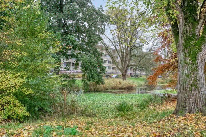 Foto 36 van Hora Siccamasingel 48