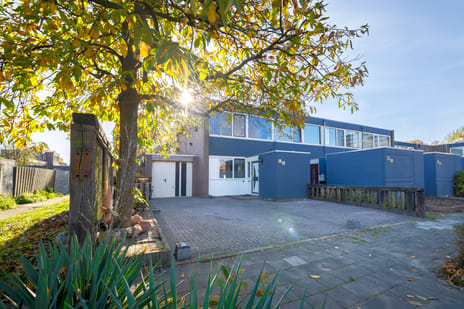 undefined main image