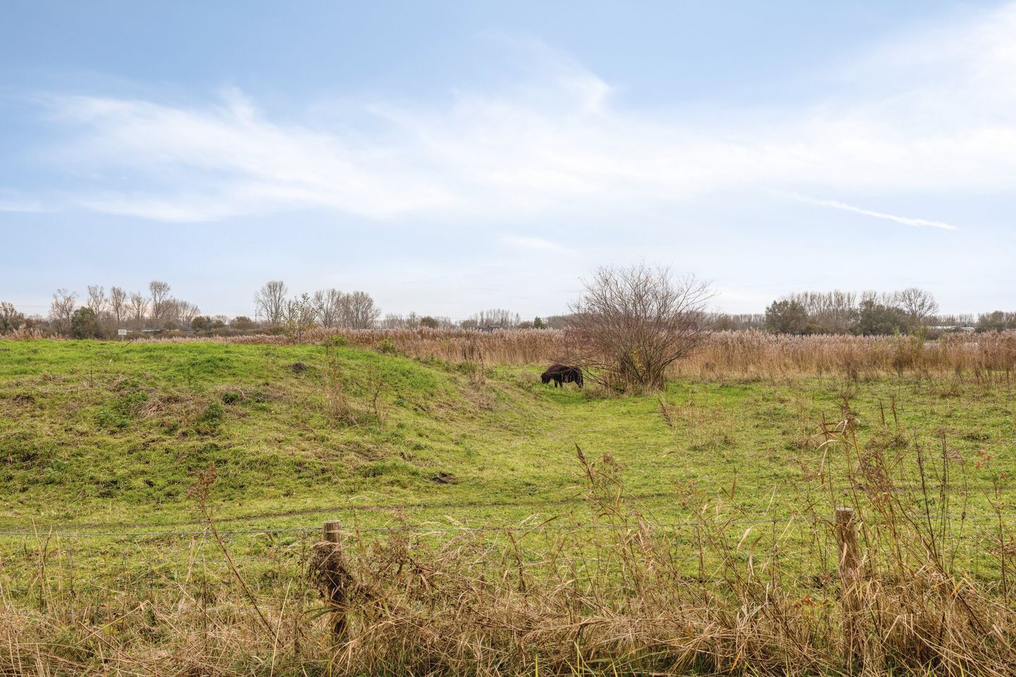 Photo 34 of Emilie Knappertstraat 30