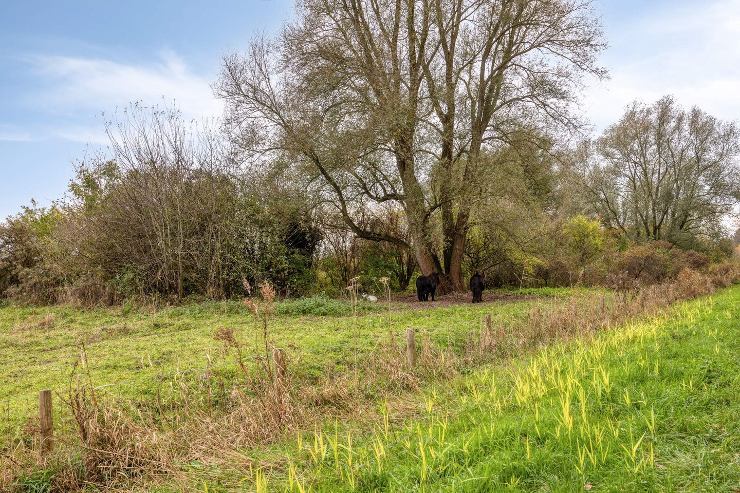 Photo 35 of Emilie Knappertstraat 30