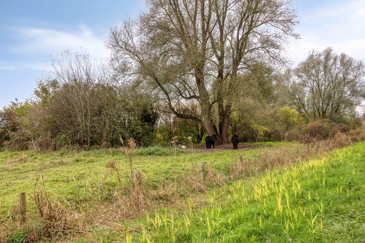 Photo 35 of Emilie Knappertstraat 30