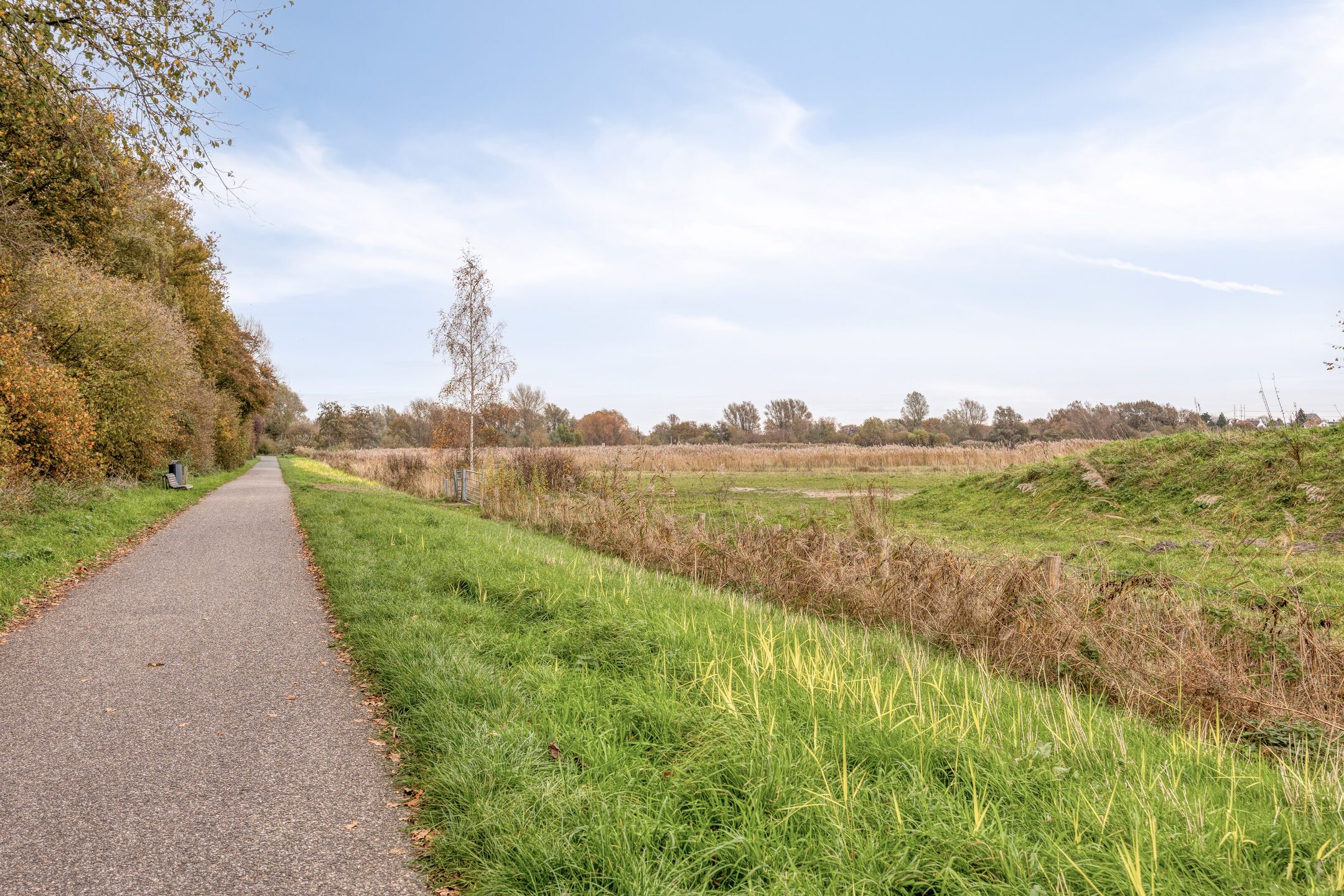 Photo 36 of Emilie Knappertstraat 30