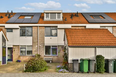 Marketentster thumbnail