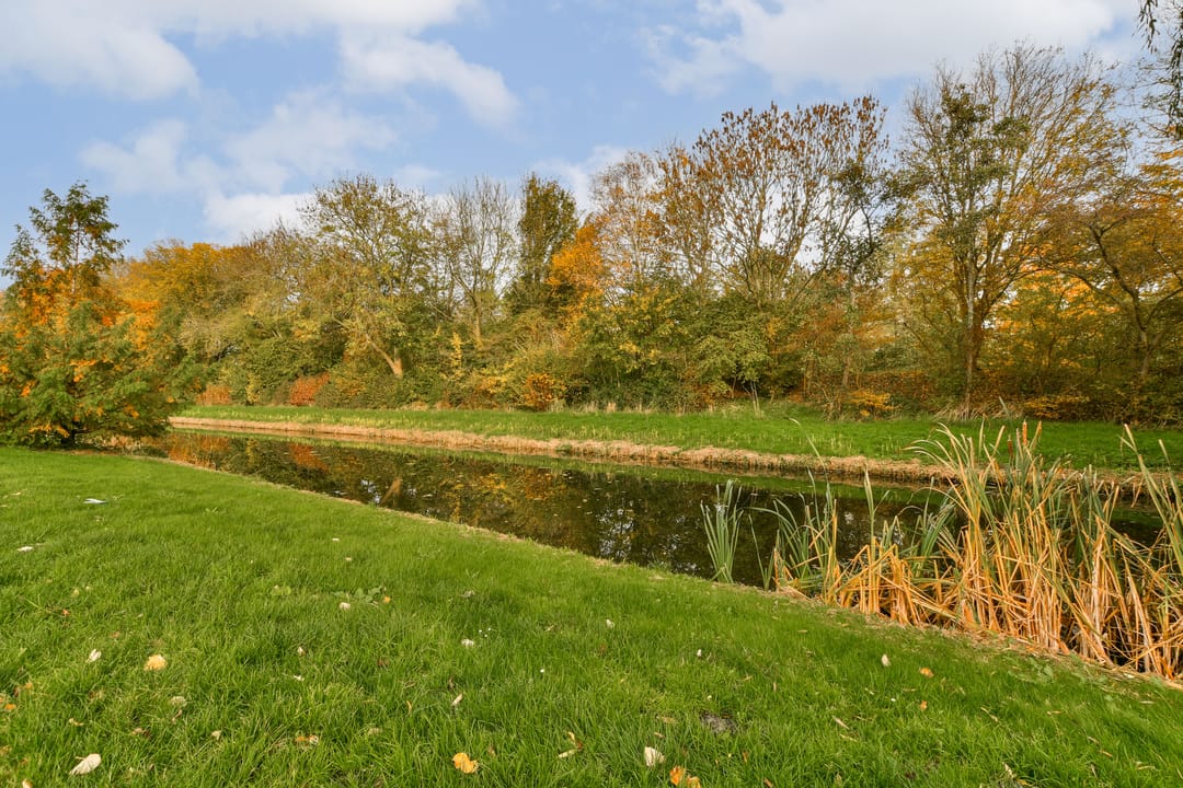 Foto 26 van Marketentster 80