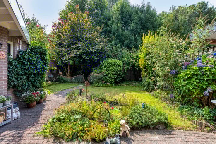 Foto 30 van Dommel 69