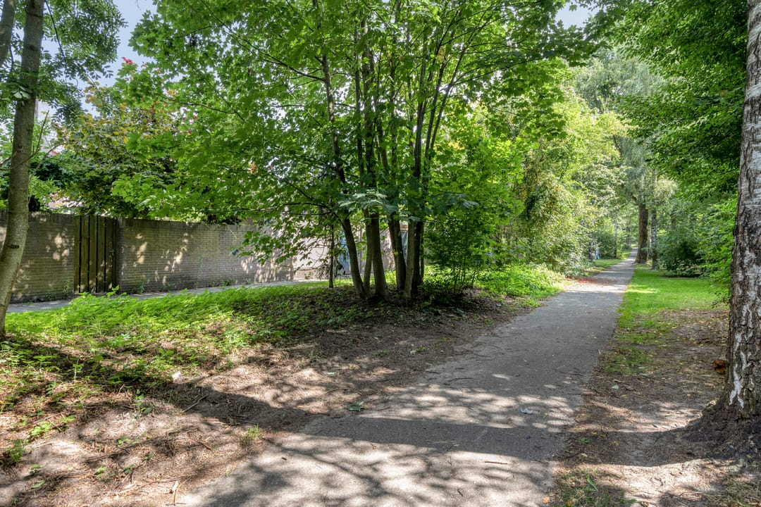 Foto 37 van Dommel 69