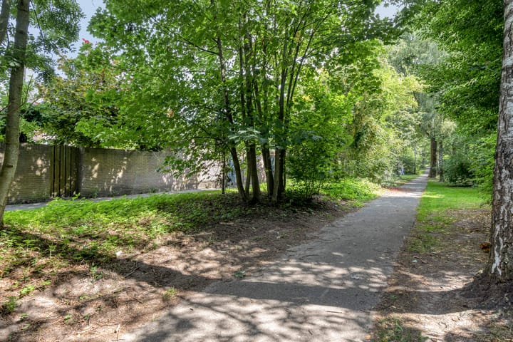 Foto 37 van Dommel 69